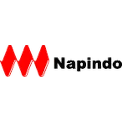 PT. Napindo Media Ashatama