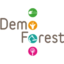 DEMPFOREST 2024: The Great Forestry Demonstration Event in Western Europe