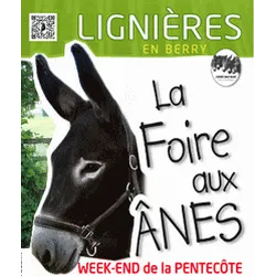 FOIRE AUX ÂNES ET AUX MULES DE LIGNIÈRES 2024 - The Biggest Donkeys and Mules Fair in France