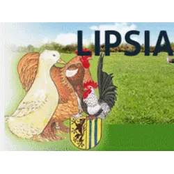 LIPSIA 2023: Leipzig Pure-bred Poultry Exhibition